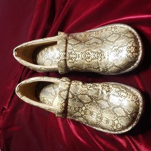 BOLO SHOES